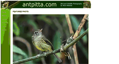 Desktop Screenshot of antpitta.com