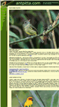 Mobile Screenshot of antpitta.com